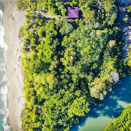 Puerto JiménezPunta Preciosa住宿加早餐旅馆 外观 照片