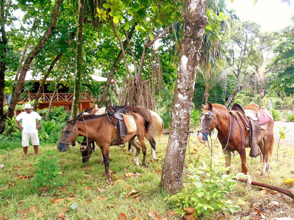 Puerto JiménezPunta Preciosa住宿加早餐旅馆 外观 照片