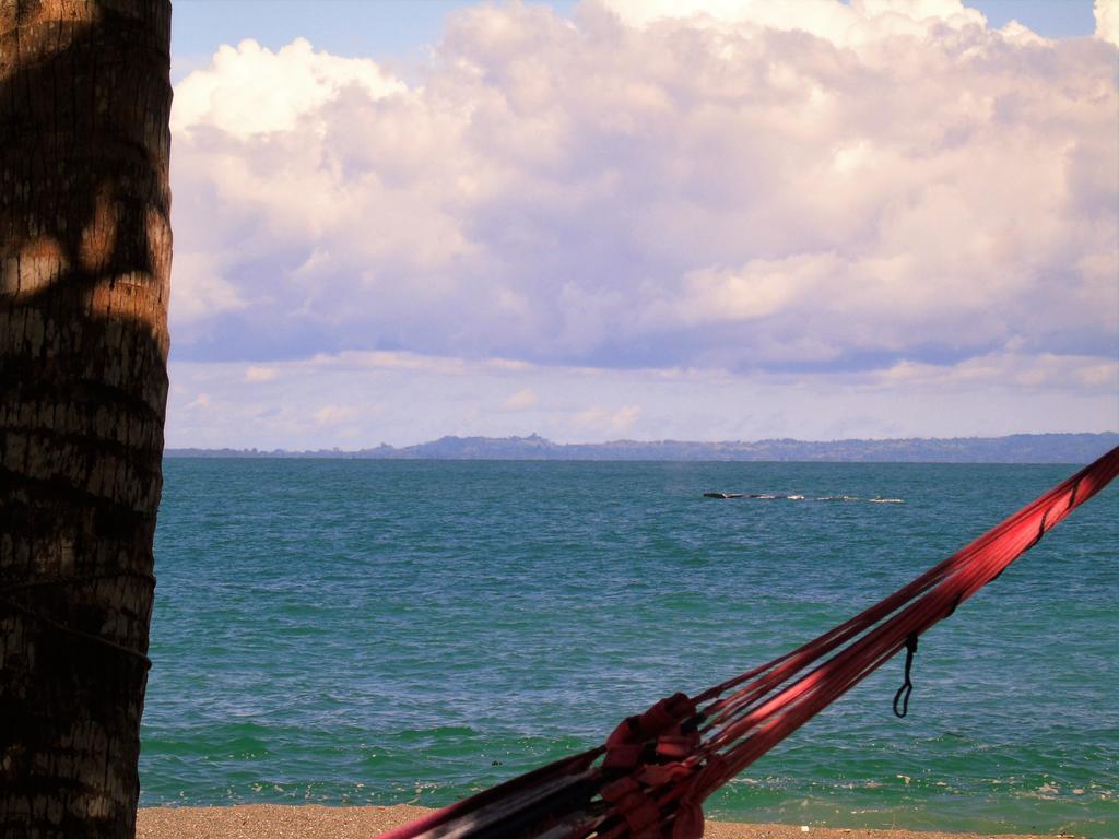 Puerto JiménezPunta Preciosa住宿加早餐旅馆 外观 照片
