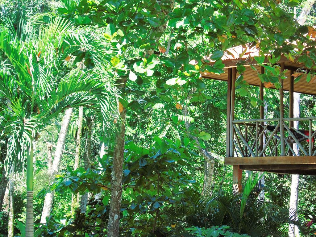 Puerto JiménezPunta Preciosa住宿加早餐旅馆 外观 照片