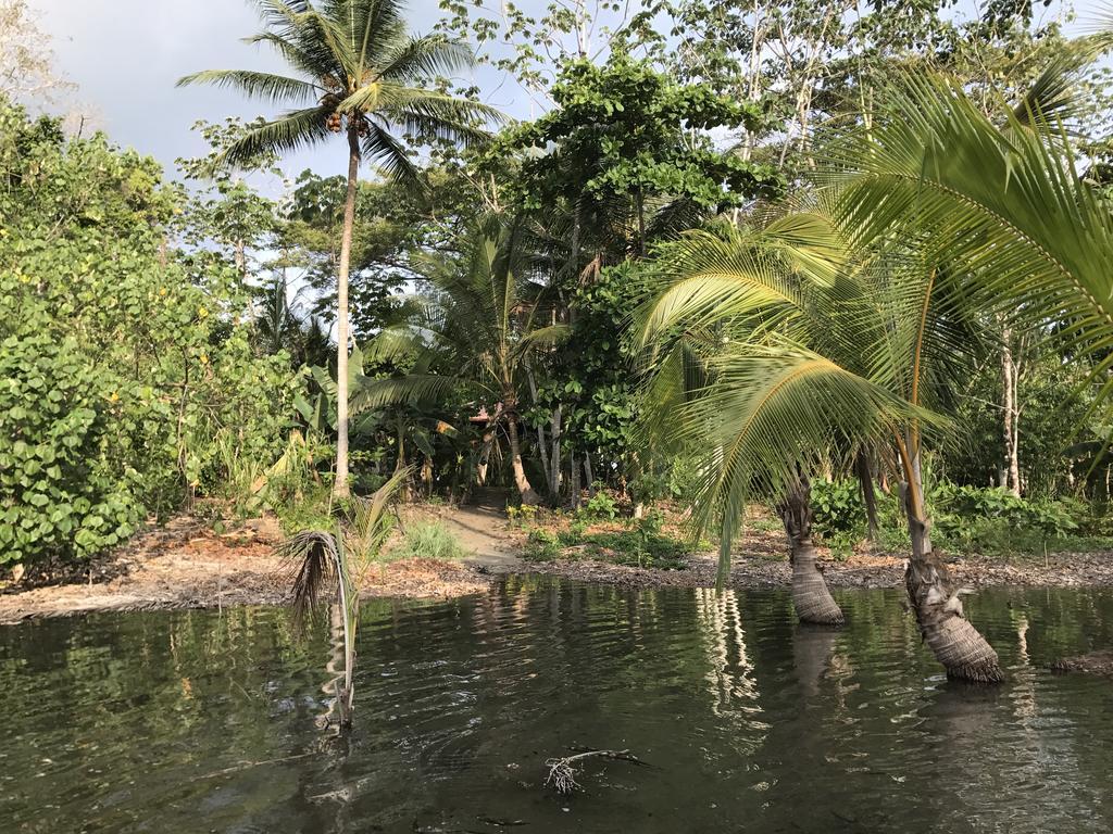 Puerto JiménezPunta Preciosa住宿加早餐旅馆 外观 照片