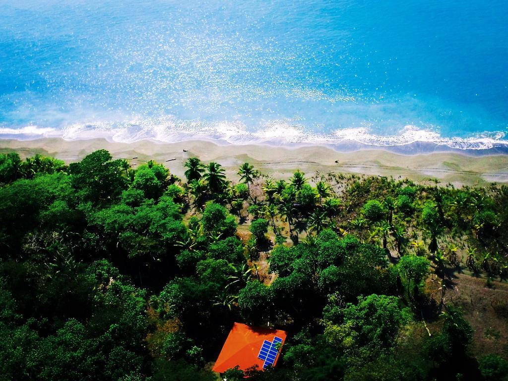 Puerto JiménezPunta Preciosa住宿加早餐旅馆 外观 照片