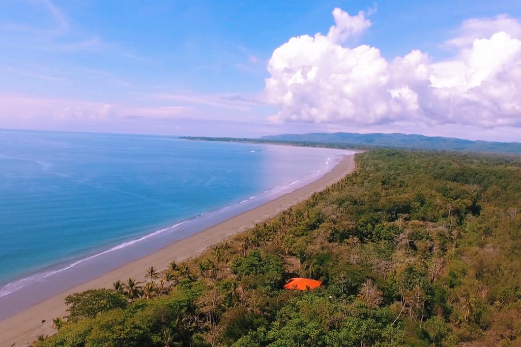 Puerto JiménezPunta Preciosa住宿加早餐旅馆 外观 照片