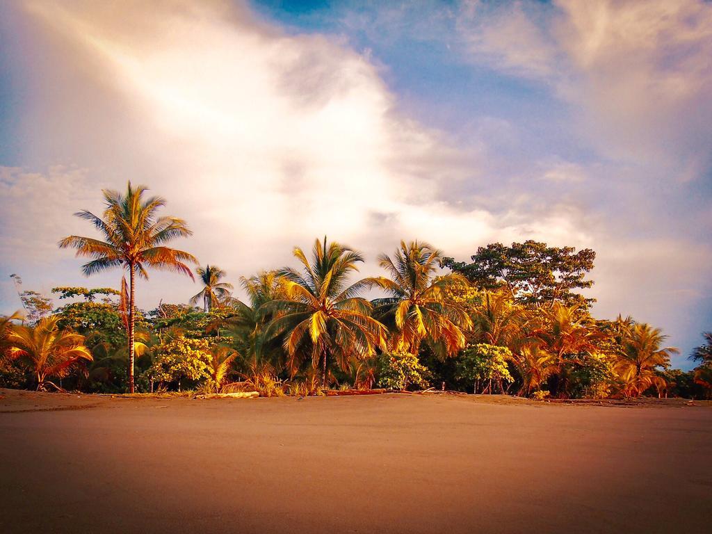 Puerto JiménezPunta Preciosa住宿加早餐旅馆 外观 照片