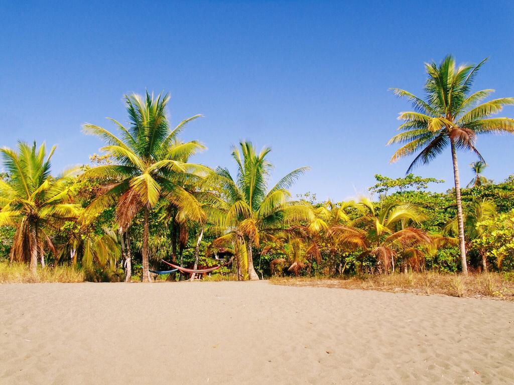 Puerto JiménezPunta Preciosa住宿加早餐旅馆 外观 照片