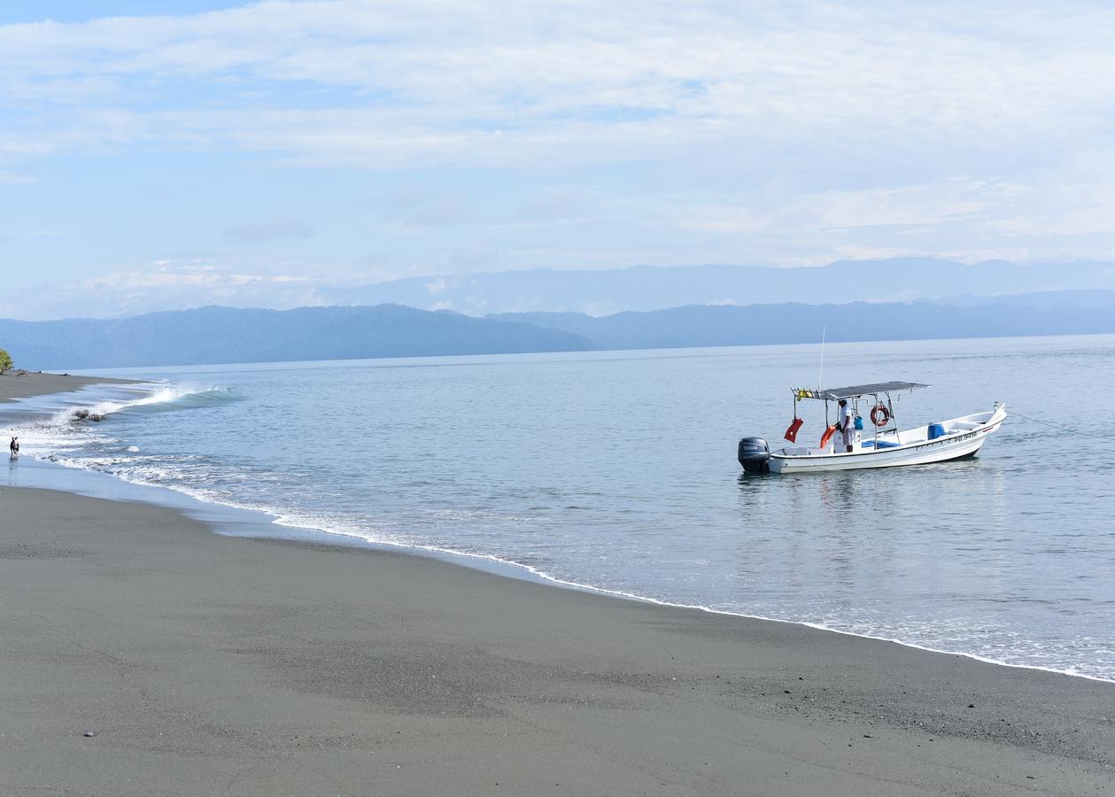 Puerto JiménezPunta Preciosa住宿加早餐旅馆 外观 照片