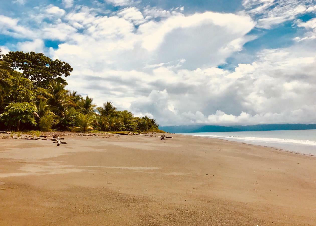 Puerto JiménezPunta Preciosa住宿加早餐旅馆 外观 照片